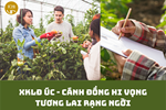 CHƯƠNG TRÌNH TUYỂN DỤNG LAO ĐỘNG DIỆN VISA 482B NÔNG NGHIỆP TẠI ÚC