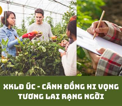 CHƯƠNG TRÌNH TUYỂN DỤNG LAO ĐỘNG DIỆN VISA 482B NÔNG NGHIỆP TẠI ÚC